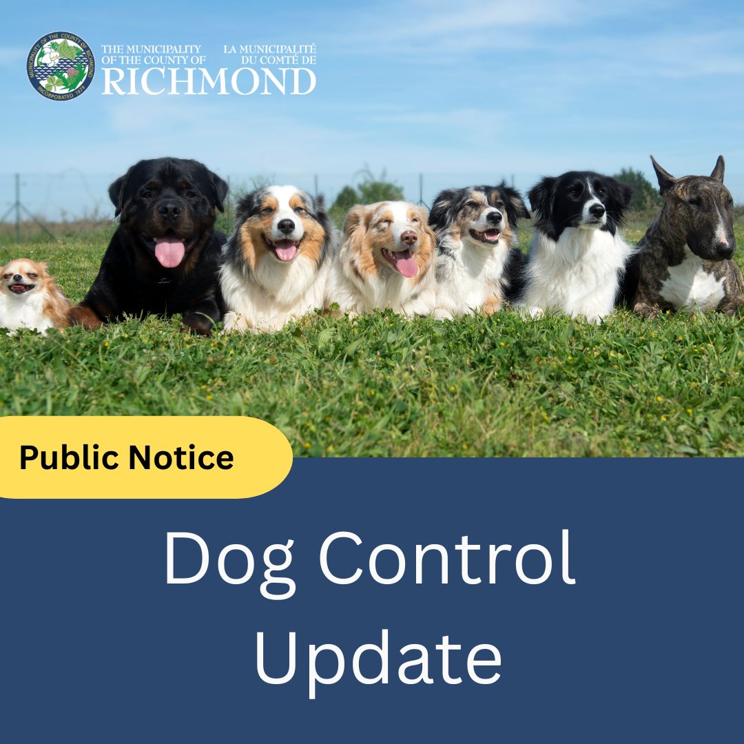 Dog_Control_Update_Social_Media_post_pic.jpg