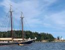 bluenose at jerome point