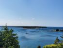 overlooking the ocean charlenes