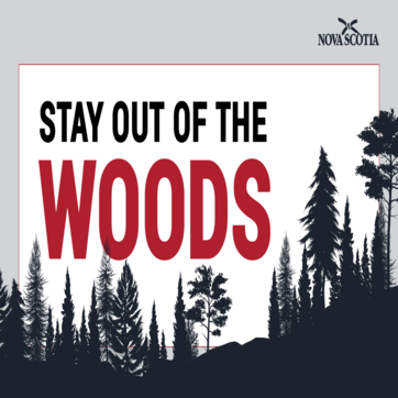 stayofwoods.png